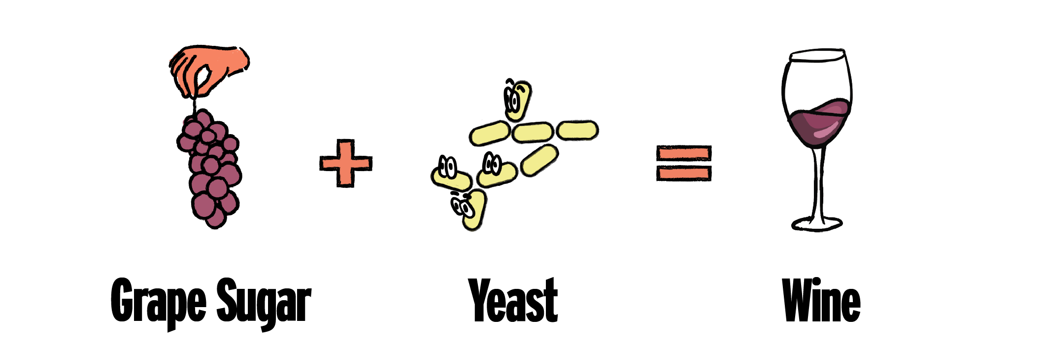 Yeast In Wine What You Need To Know Good Pair Days