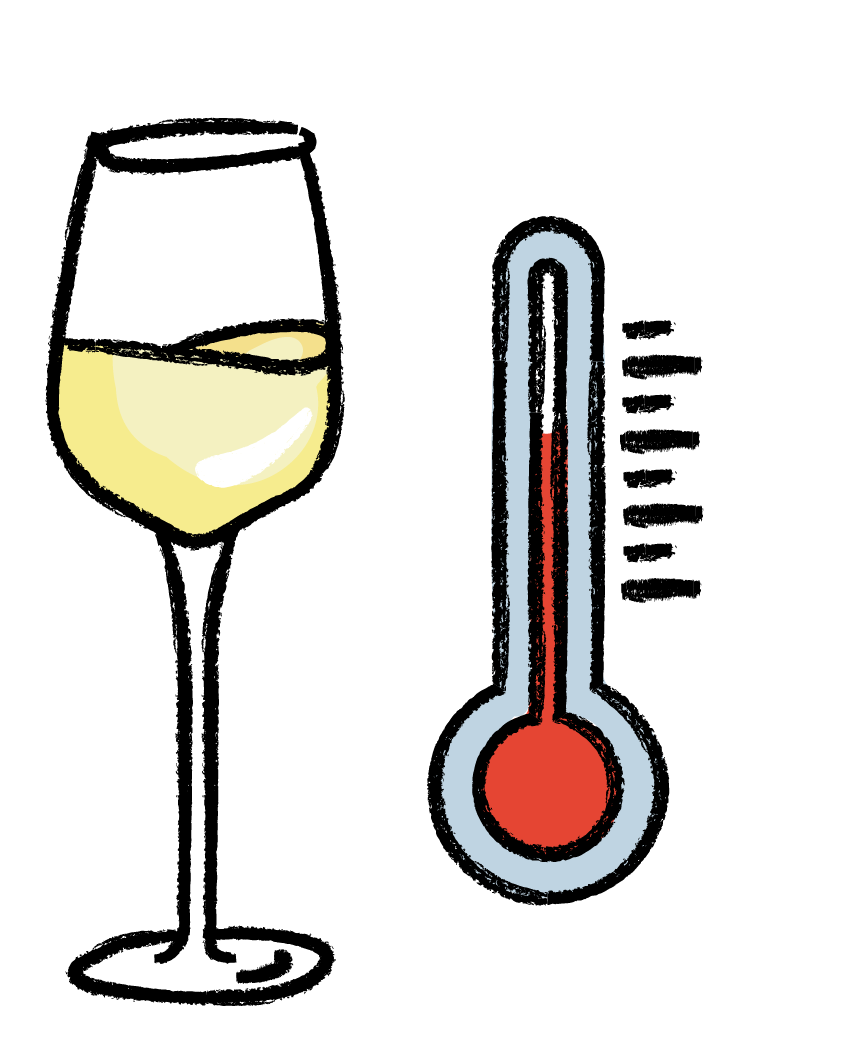 wine temperature