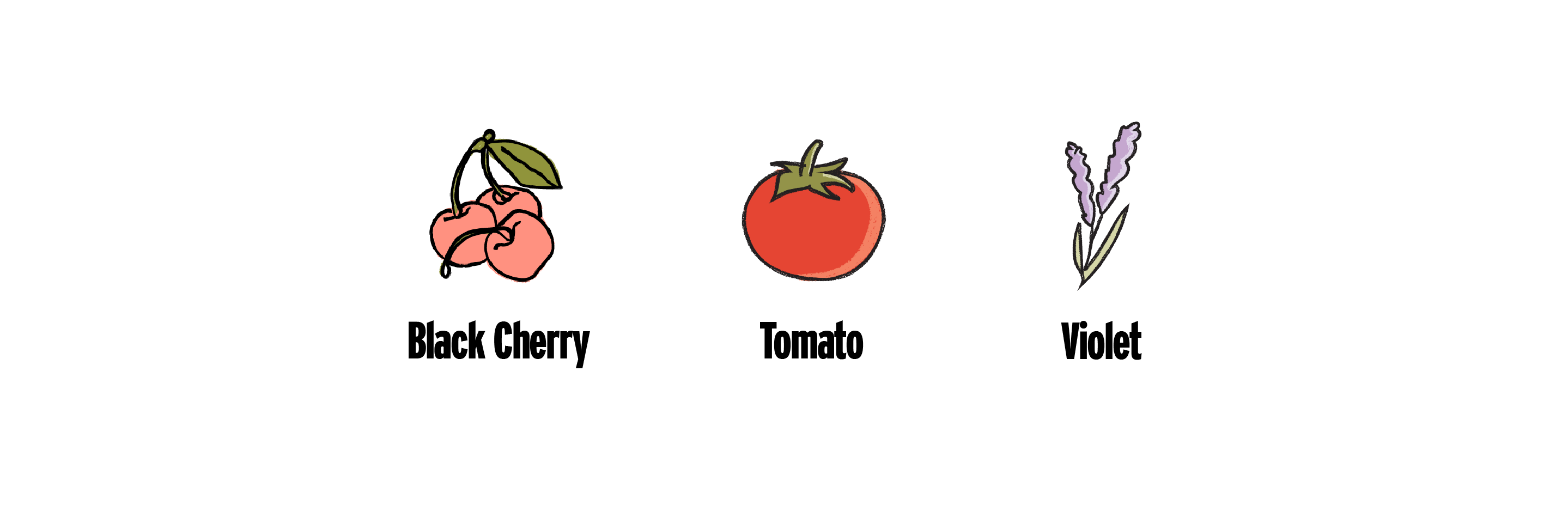 Dolcetto Wine Styles, Taste, Food Matches & More Good Pair Days