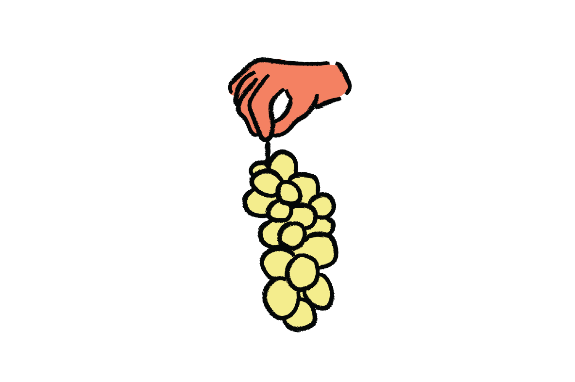 White Grape Types