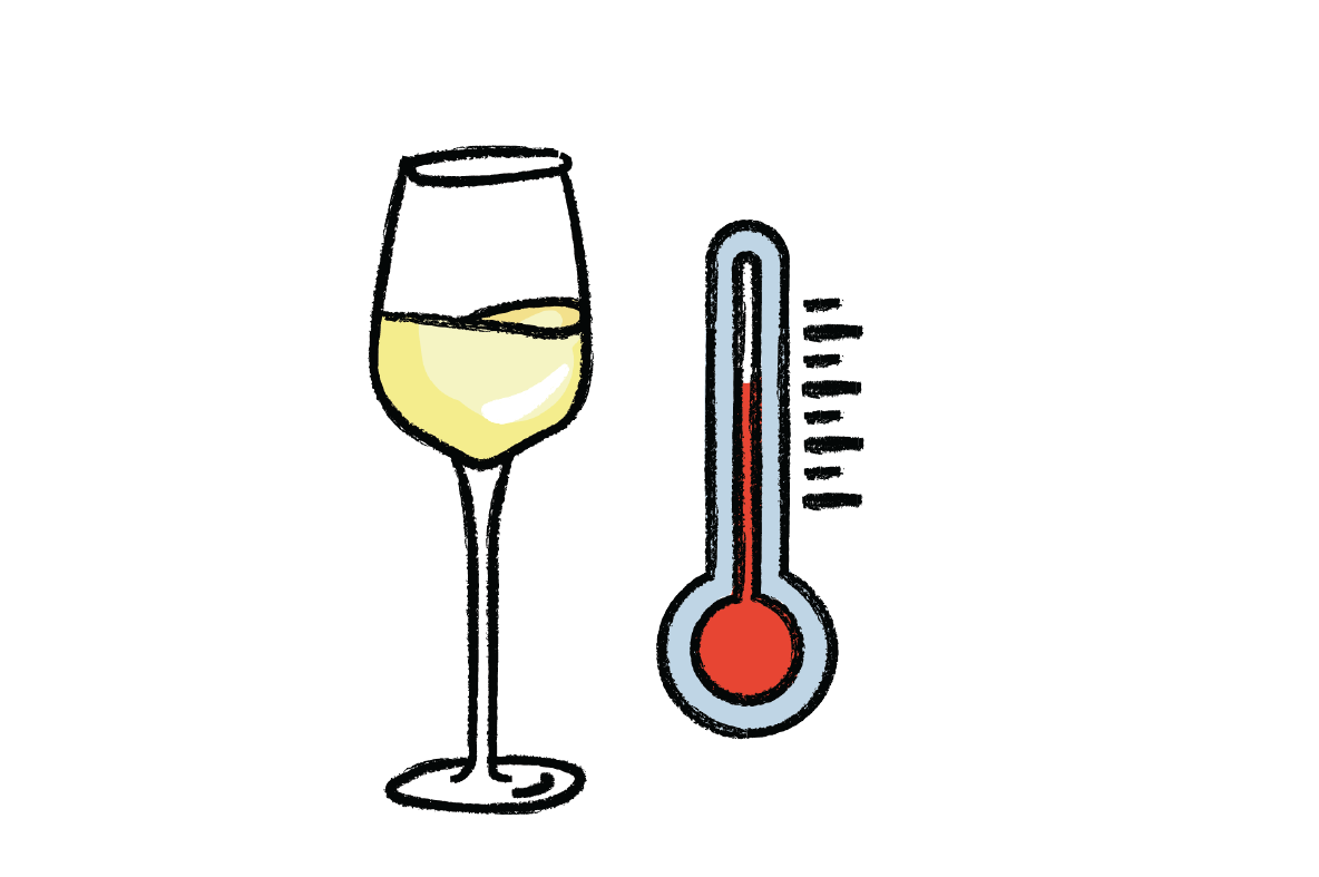 Wine Drinking Temperatures