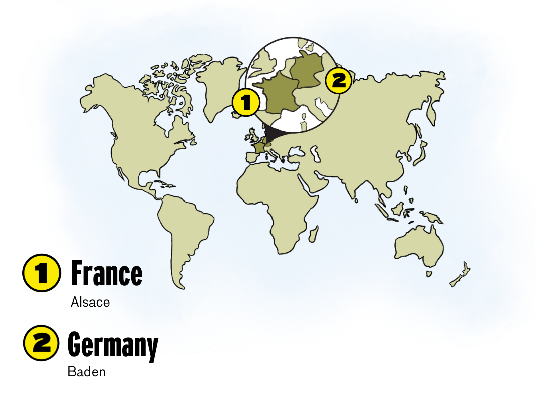 Gewürztraminer wine regions map