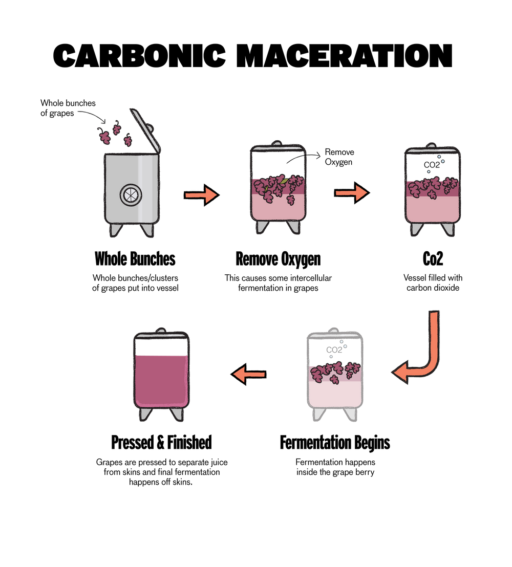 Winemaking Techniques From Lees to Malo Good Pair Days