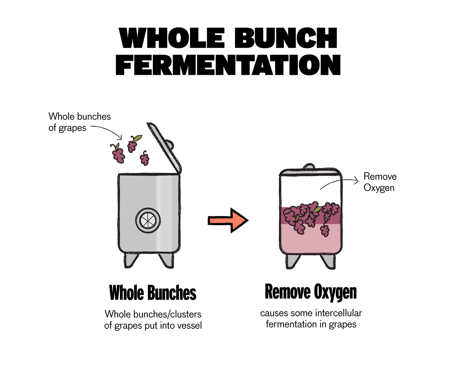 Winemaking Techniques From Lees to Malo Good Pair Days