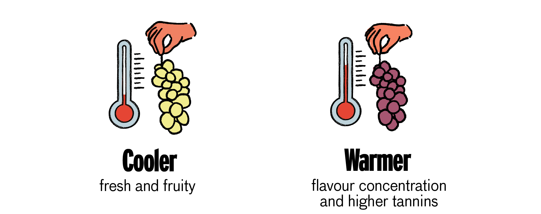 Wine Fermentation How Does it Work? Good Pair Days