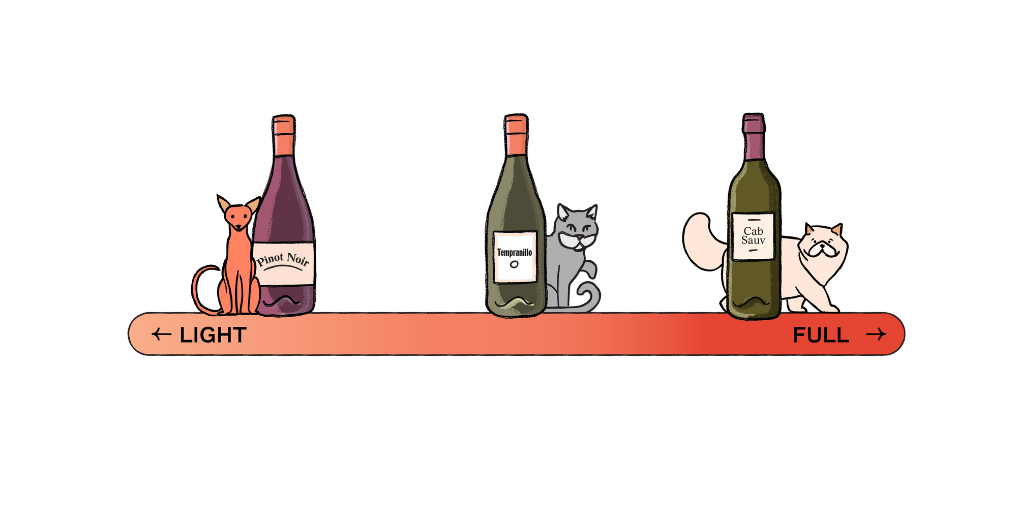 Guide to Red Wine Types for Beginners | Good Pair Days