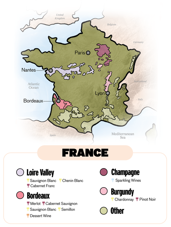 French Wine: History, Regions, Grapes, Styles | Good Pair Days