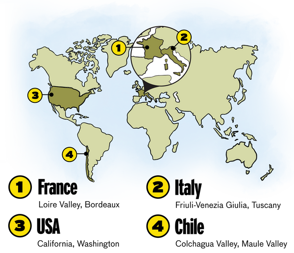 Franc Styles, Taste, Food Matches & More Good Pair Days